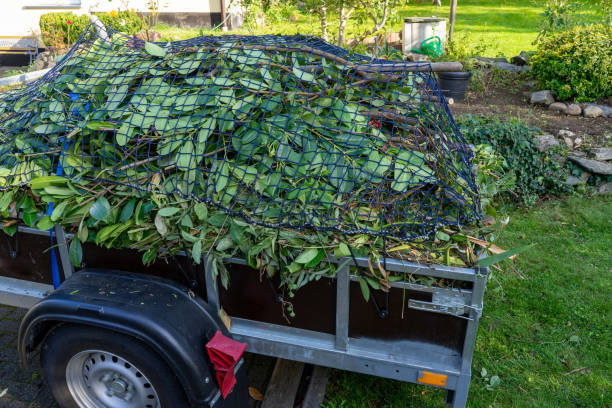 Best Yard Waste Removal  in West Point, VA